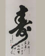 赵忠祥作品集